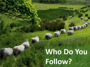 who do you follow