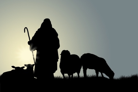 Shepherd